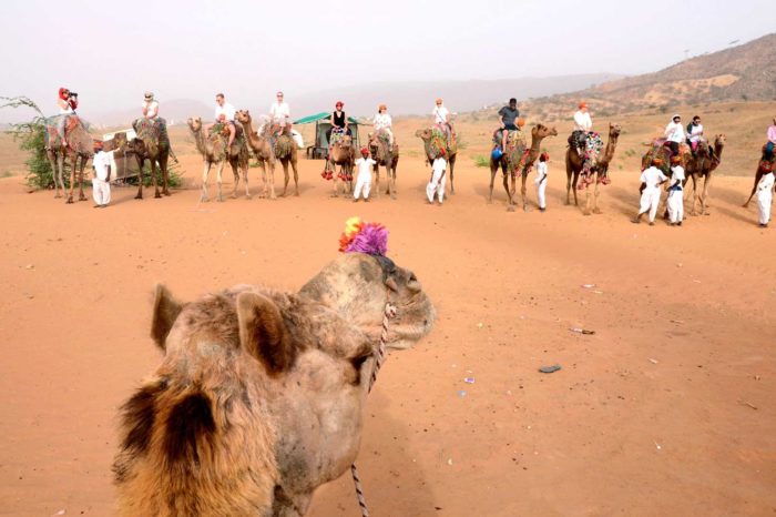 Pushkar Adventure Desert Camp