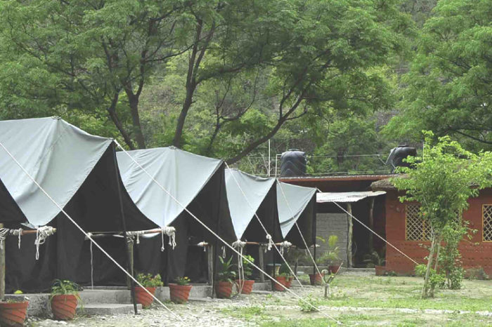 Jungle Retreat Camp, Rishikesh