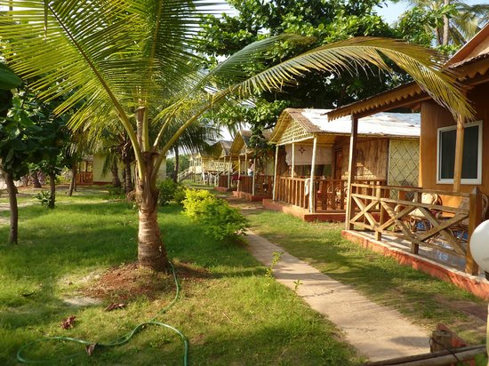 Mandrem Goa Campsite